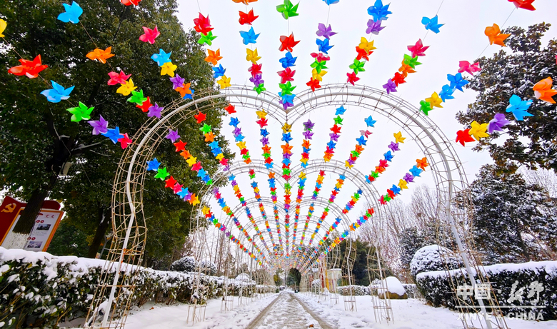 银装漫街巷 琼枝醉游人