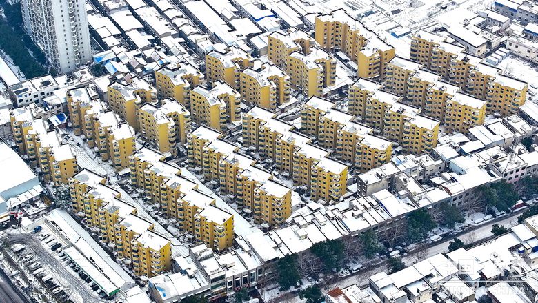 银装漫街巷 琼枝醉游人