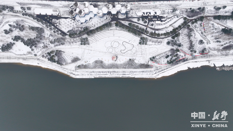 银装漫街巷 琼枝醉游人