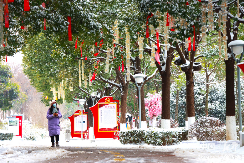 银装漫街巷 琼枝醉游人