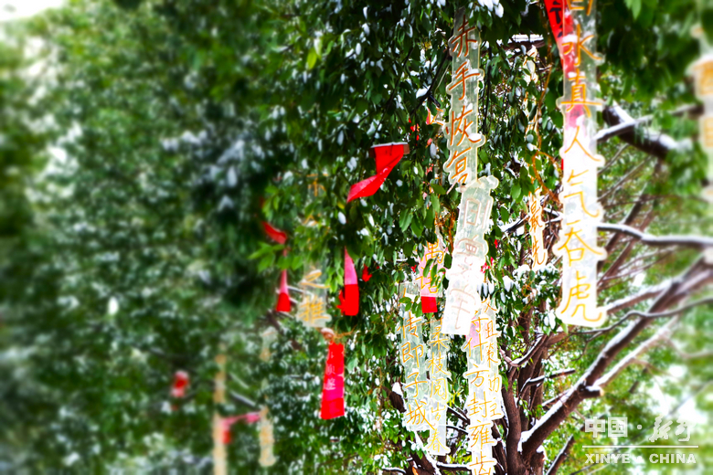 银装漫街巷 琼枝醉游人