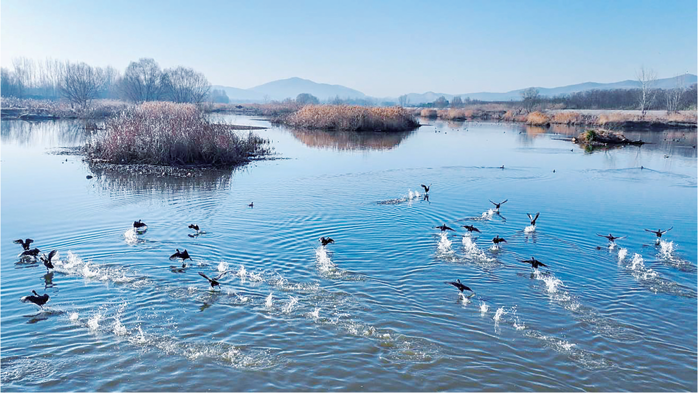 南阳市七届人大二次会议胜利闭幕