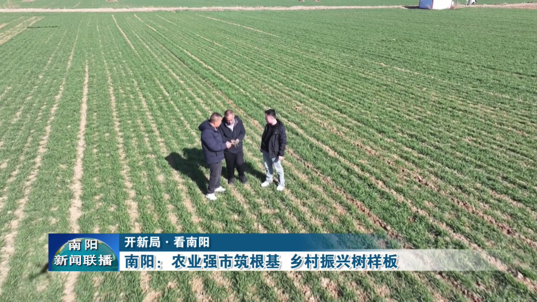 南阳：农业强市筑根基乡村振兴树样板(图4)