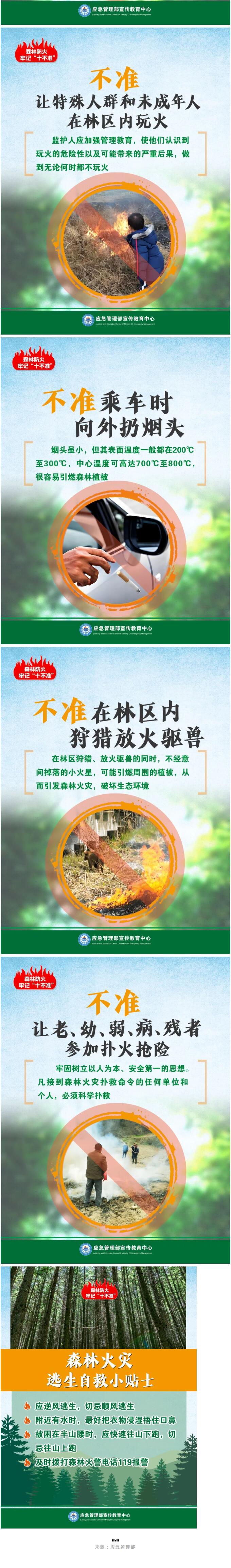 【安全科普】森林防火知识宣传