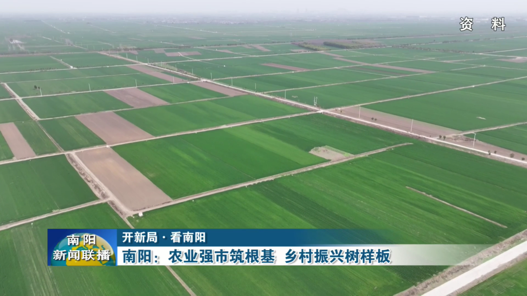 南阳：农业强市筑根基乡村振兴树样板(图2)