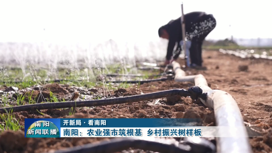 南阳：农业强市筑根基乡村振兴树样板(图1)