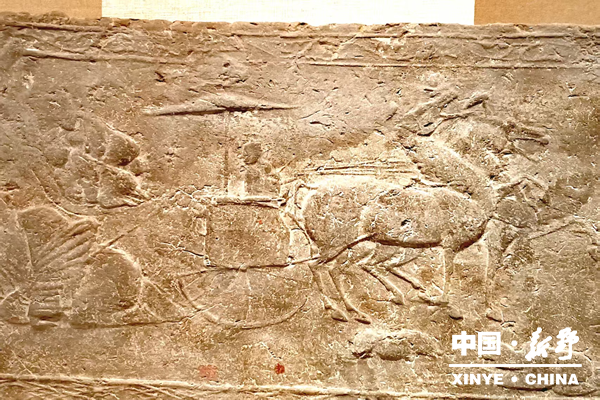 新野汉画像砖博物馆马年寻“马迹 ”