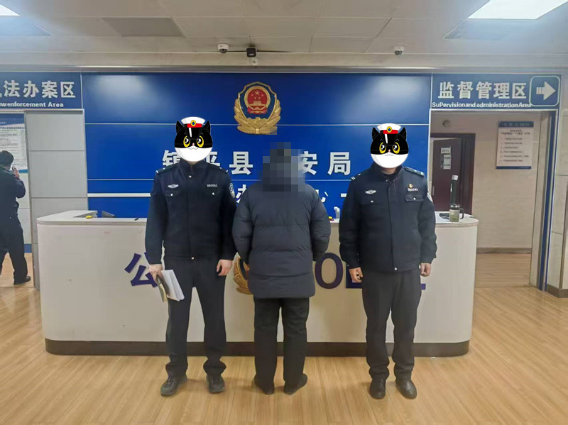 全链条严打！镇平公安利剑出鞘，守护新春平安防线