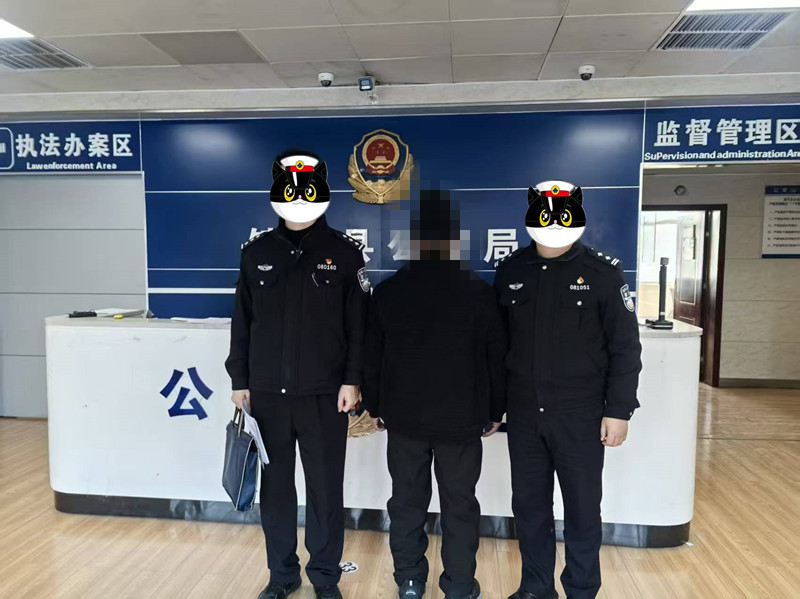 全链条严打！镇平公安利剑出鞘，守护新春平安防线