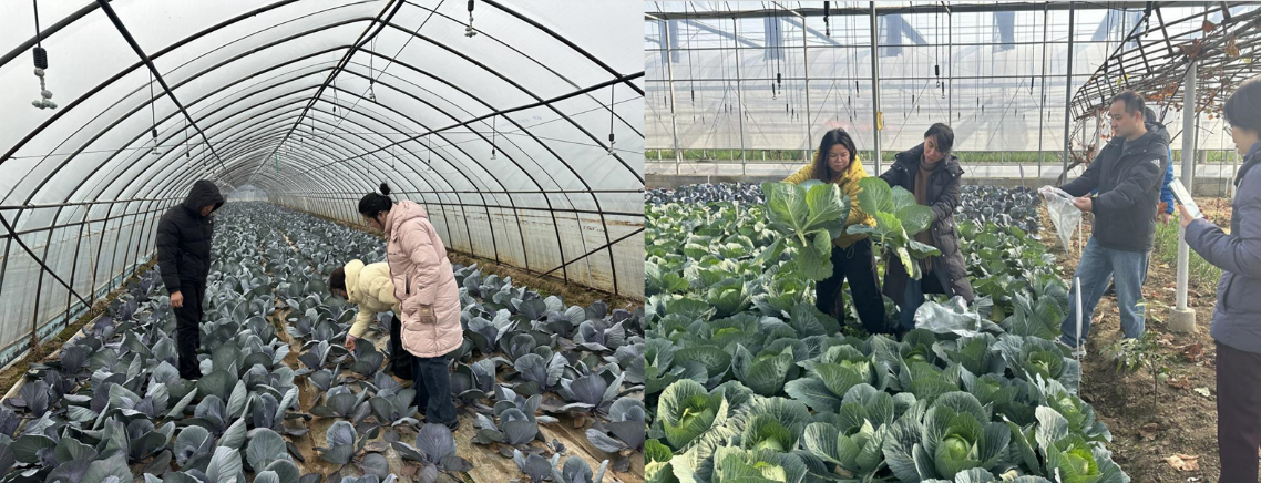 南阳市深入开展禁限用农药专项治理行动