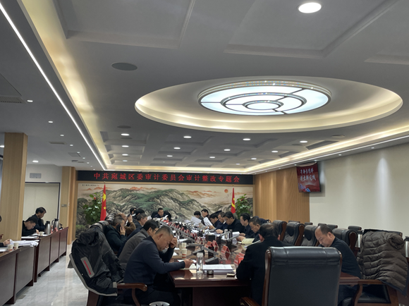 宛城区委审计委员会专题研究部署审计整改工作