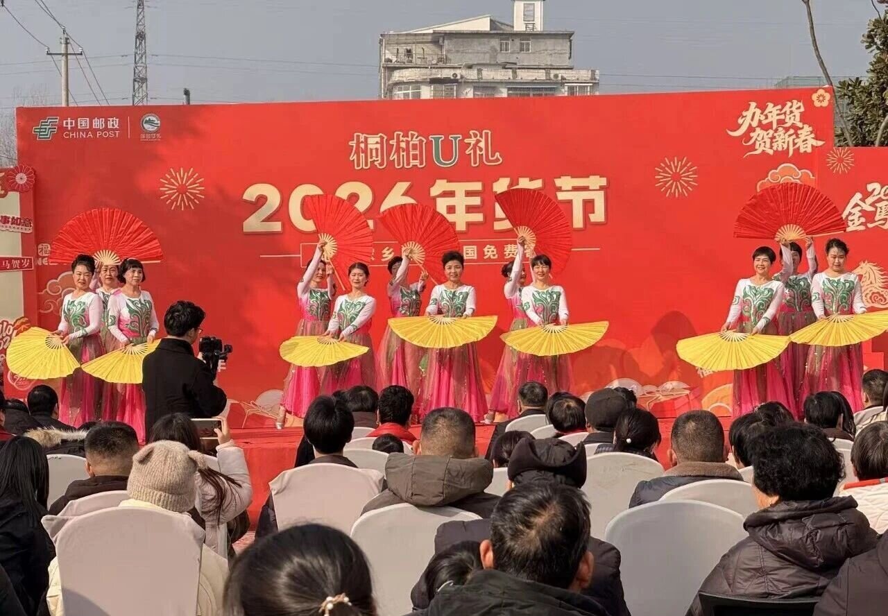 桐柏年货节群众文化活动精彩上演，非遗传承添彩新春盛宴