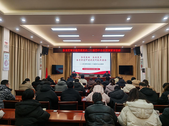 卧龙区审计局开展党的二十届四中全会精神学习宣讲会