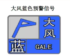 南阳市风险监测预警 第9期（大风蓝色）
