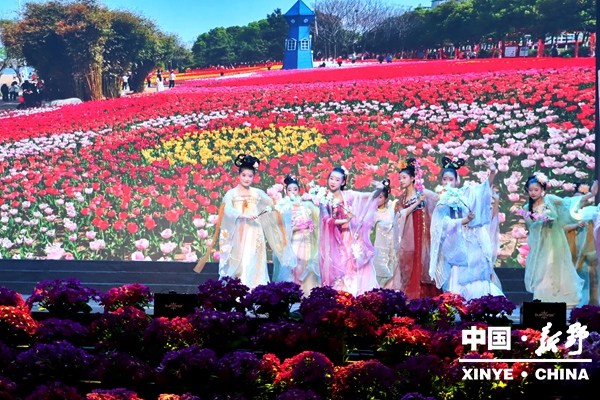 新野县2026年春节联欢晚会精彩纷呈 “向新出发”共赴马年文化盛宴 新野县2026年春节联欢晚会精彩纷呈 “向新出发”共赴马年文化盛宴