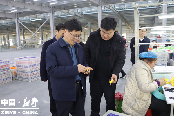 县委书记赵红亮调研春节后企业复工复产工作