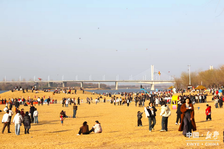 万象更新迎马岁 万家欢腾享新春