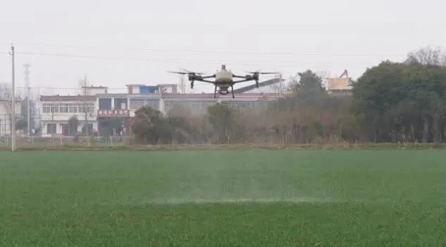 内乡：如何做好春季麦田管理 农技专家来支招