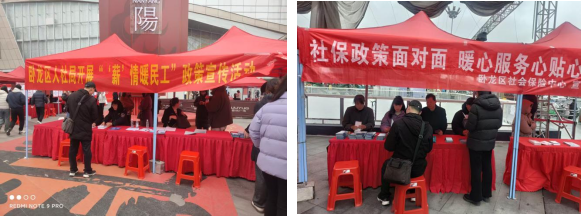 卧龙区2026年“春风行动暨就业援助季”现场招聘会顺利举行