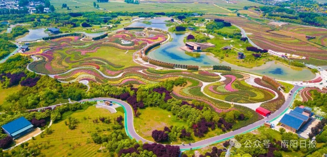 南阳：月季花开富万家丨开局“十五五” 建强副中心