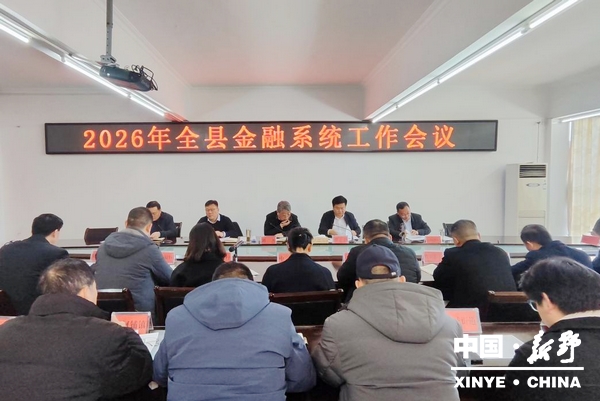 新野县召开2026年金融系统工作会
