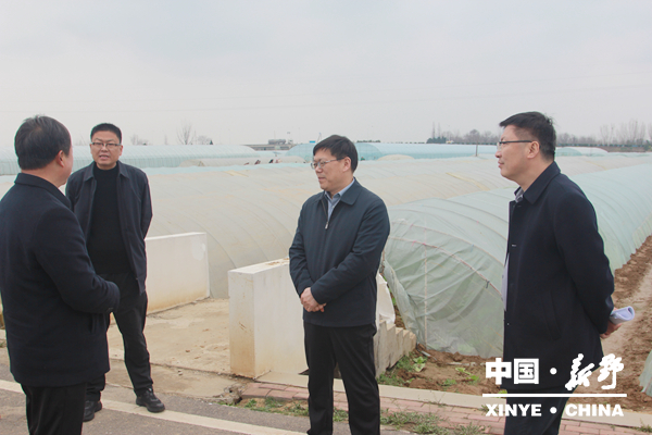 县委书记赵红亮督导调研群众身边不正之风和腐败问题集中整治“百日攻坚”工作