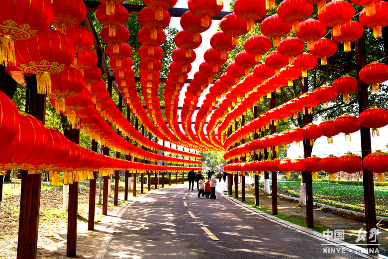 民俗欢腾闹元夕 华灯溢彩赴春约