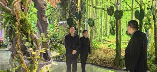 姜涛到开发区调研部分重点项目 复工复产情况 姜涛到开发区调研部分重点项目 复工复产情况