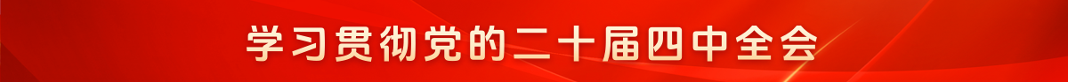 学习贯彻党的二十届四中全会精神