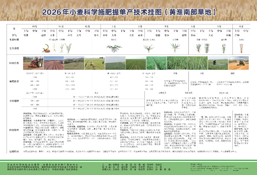 2026年小麦“抓肥水促壮苗提单产”技术挂图（黄淮南部旱地）