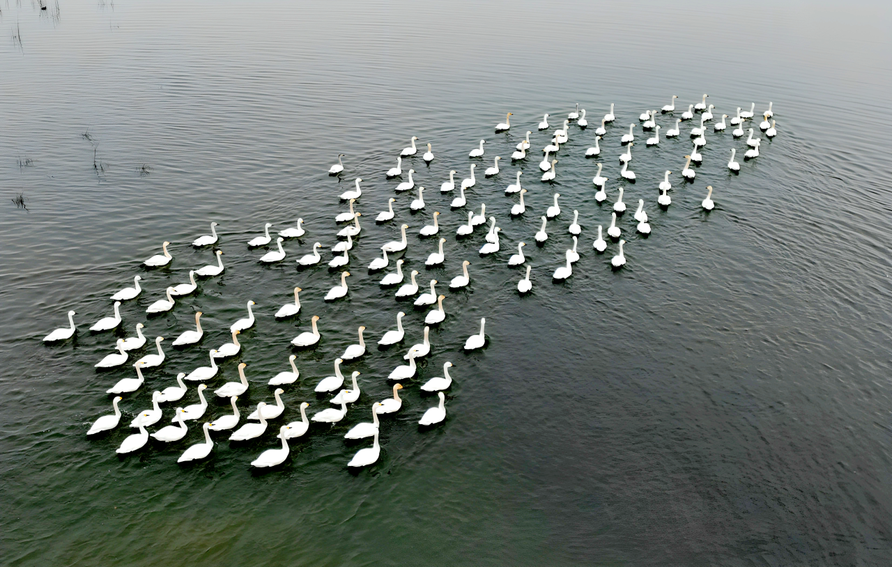 4681879415412919 546ec4b24c48064a0a6a57b54adadc89.png