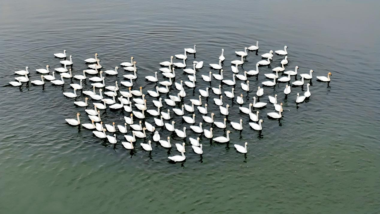 44328685685232847 44328685685232847