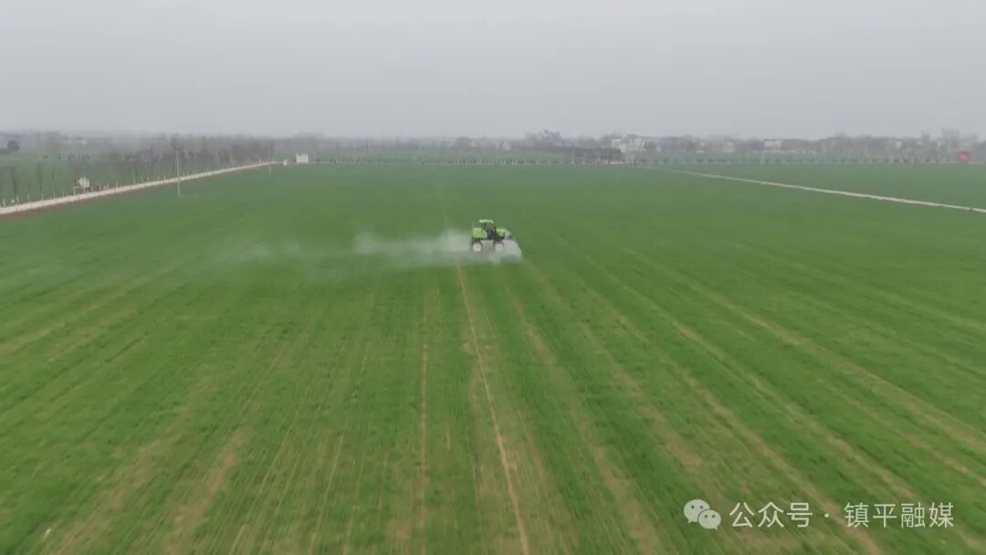 镇平：加强小麦春季管理 力夺夏粮稳产增收