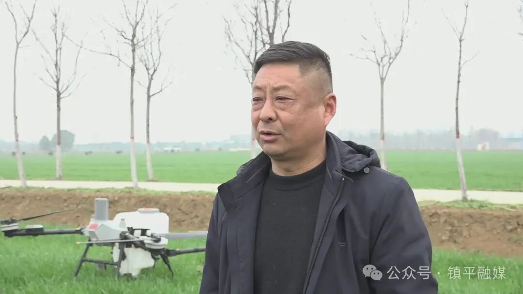 镇平：加强小麦春季管理 力夺夏粮稳产增收