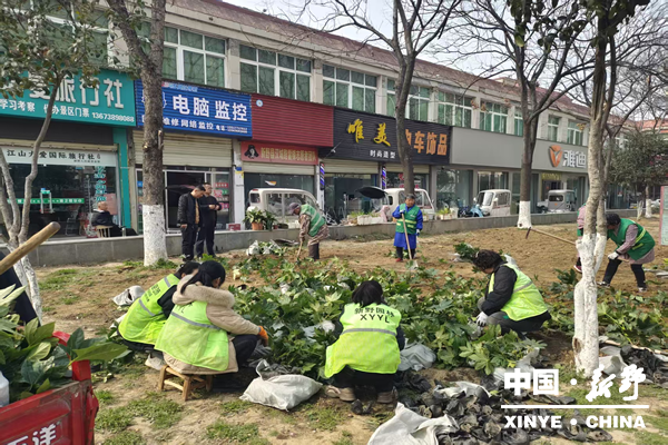 县园林中心扎实开展春季绿化提质工作
