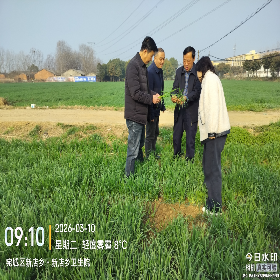 国家统计局南阳调查队深入部分县区调研指导春季小麦生长及麦田管理情况