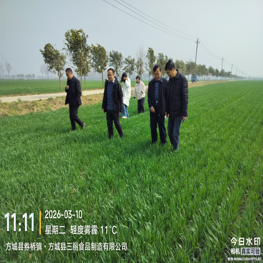 国家统计局南阳调查队深入部分县区调研指导春季小麦生长及麦田管理情况