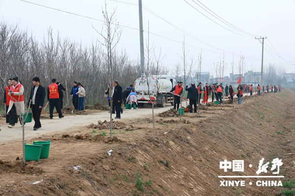 新野县组织开展2026年春季全民义务植树活动