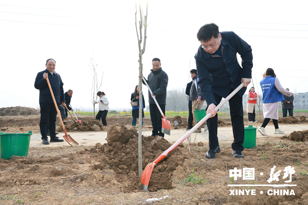 新野县组织开展2026年春季全民义务植树活动