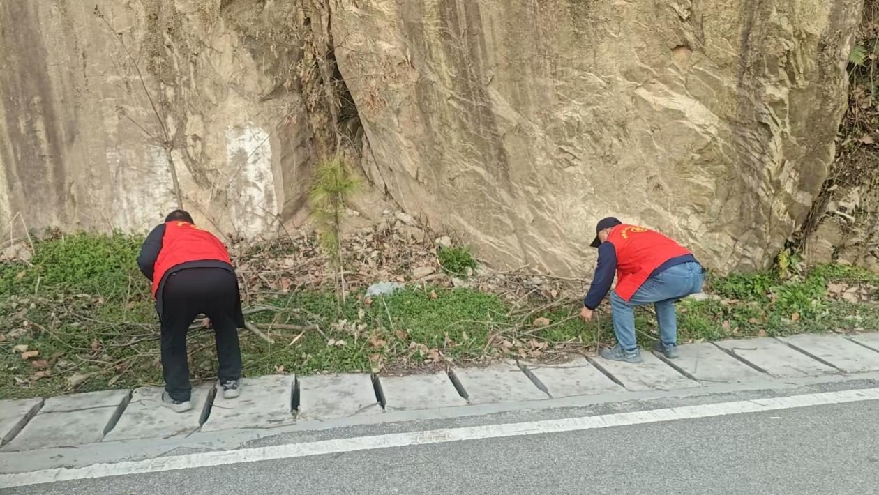 多部门联动+干群同心筑牢生态屏障 ----桐柏县龙潭河景区开展生态环境专项清理行动