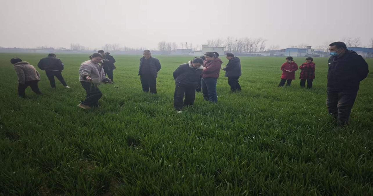 方城县高素质农民培训跟踪服务 护航春耕备播