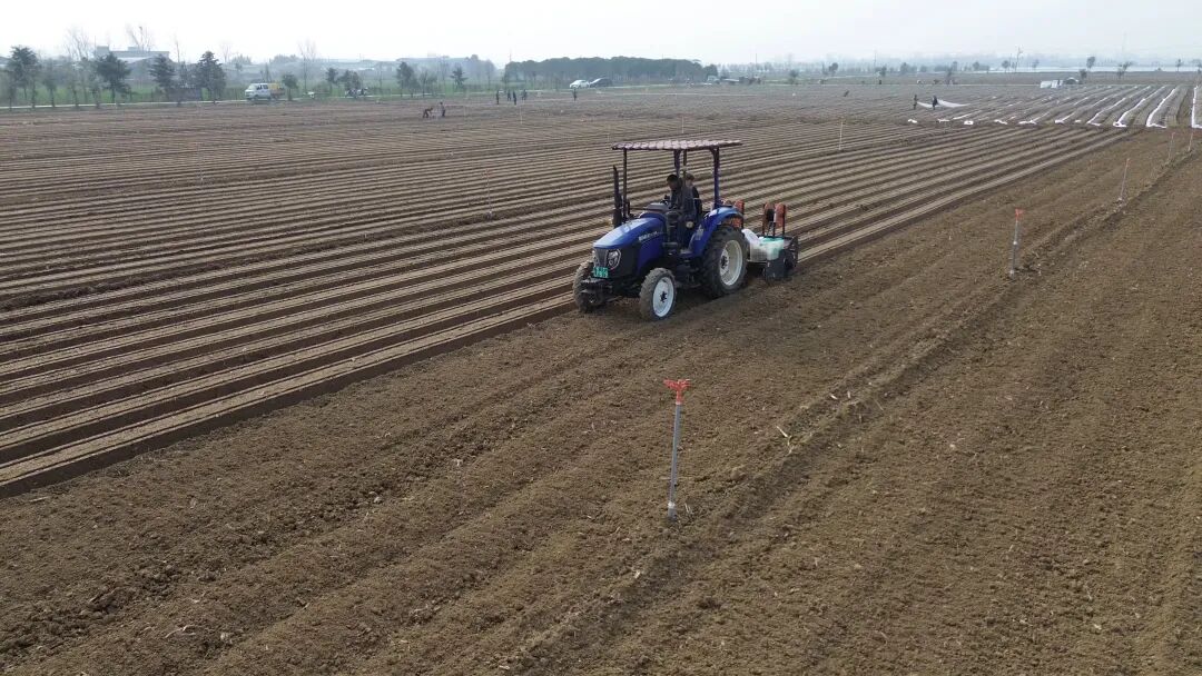 社旗:春耕添“智”气 科技促增收 社旗:春耕添“智”气 科技促增收