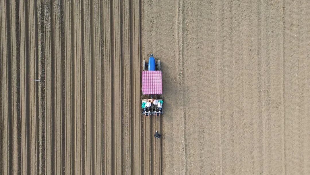 社旗:春耕添“智”气 科技促增收 社旗:春耕添“智”气 科技促增收