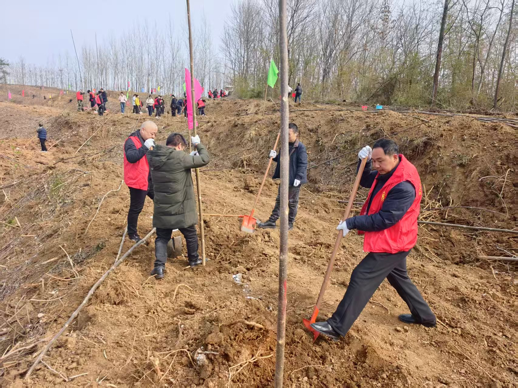 植绿护绿践初心 生态担当展作为 植绿护绿践初心 生态担当展作为