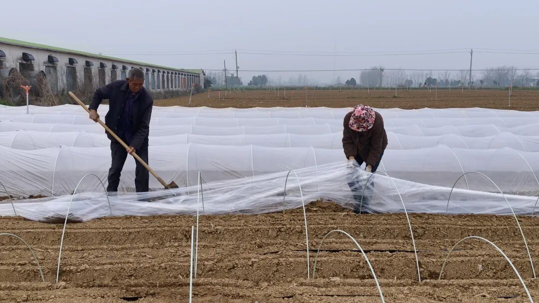 社旗:春耕添“智”气 科技促增收 社旗:春耕添“智”气 科技促增收