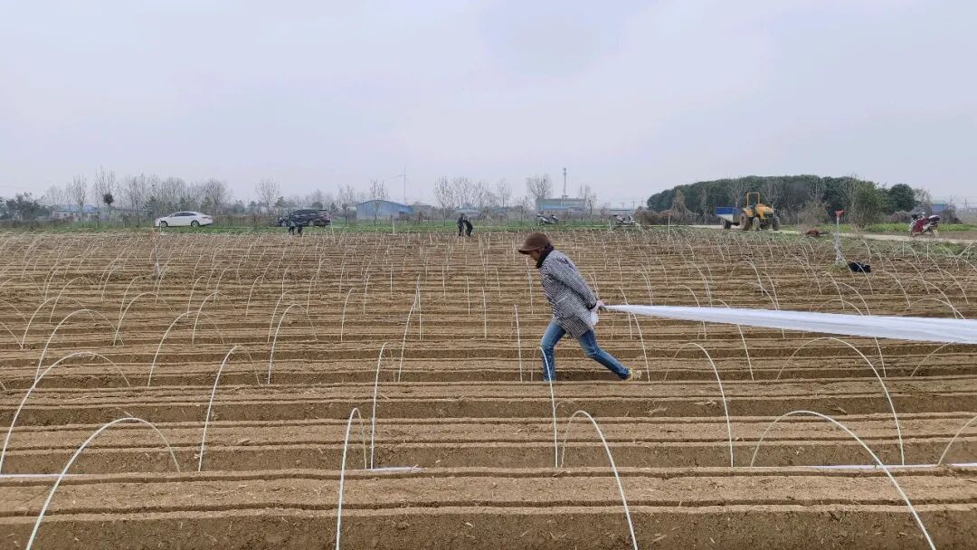 社旗:春耕添“智”气 科技促增收 社旗:春耕添“智”气 科技促增收