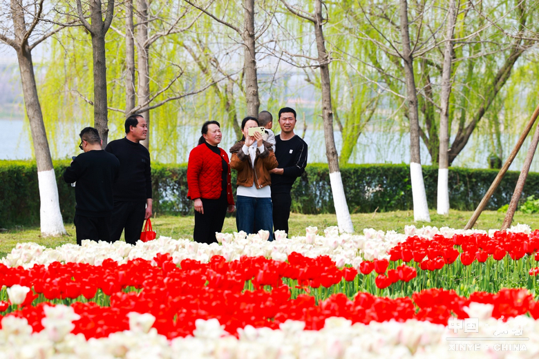 南阳市2026“春季赏花 畅游南阳”暨<br>新野县赏花旅游季・文旅促消费活动盛大开幕 南阳市2026“春季赏花 畅游南阳”暨<br>新野县赏花旅游季・文旅促消费活动盛大开幕