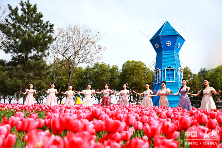 南阳市2026“春季赏花 畅游南阳”暨<br>新野县赏花旅游季・文旅促消费活动盛大开幕 南阳市2026“春季赏花 畅游南阳”暨<br>新野县赏花旅游季・文旅促消费活动盛大开幕