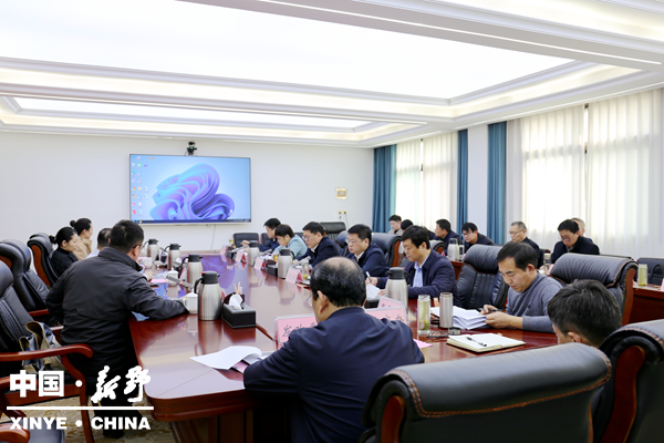 新野县召开中法低碳生态示范城合作项目座谈会