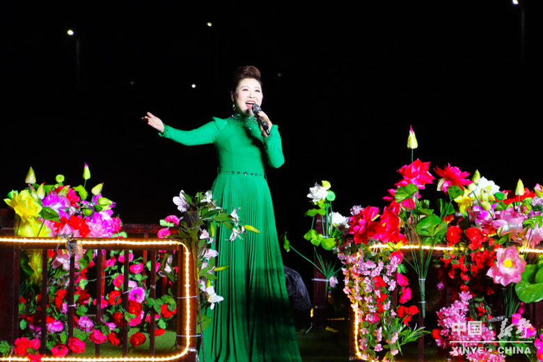 春夜新野 花漾笙歌<br>——新野县2026年春季赏花旅游季暨文旅促消费活动<br>开幕式文艺晚会掠影 春夜新野 花漾笙歌<br>——新野县2026年春季赏花旅游季暨文旅促消费活动<br>开幕式文艺晚会掠影